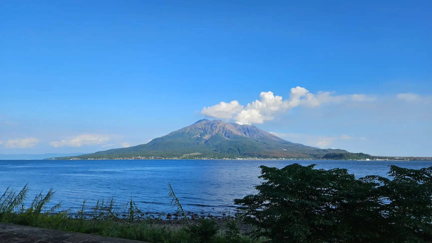 가고시마 비전트립 사진 5번째