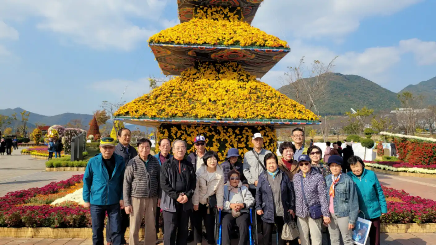 양산국화축제(시니어클럽) 갤러리 썸네일