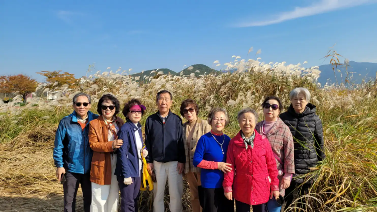 양산국화축제(시니어클럽) 사진 2번째