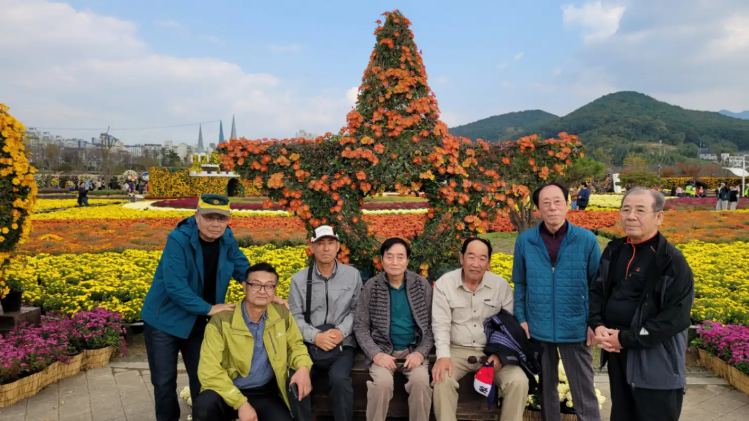 양산국화축제(시니어클럽) 사진 9번째