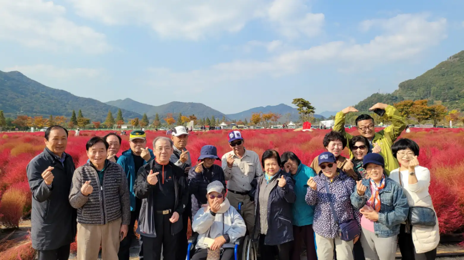 양산국화축제(시니어클럽) 사진 6번째