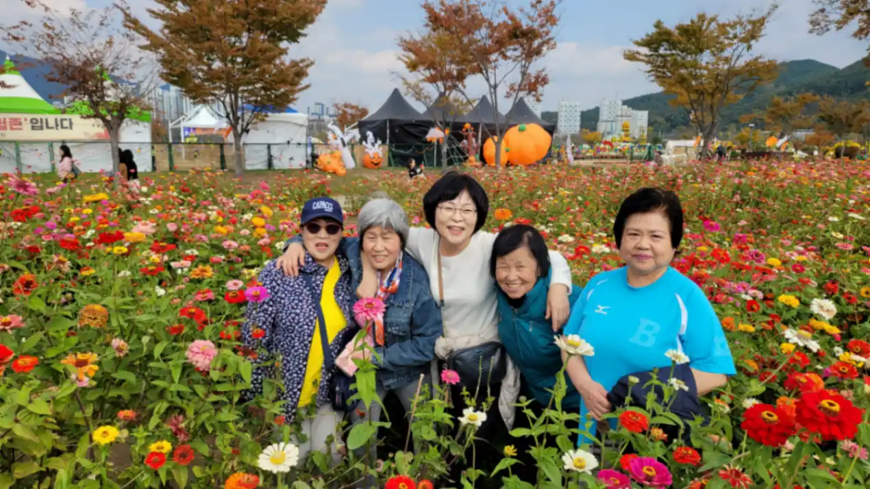 양산국화축제(시니어클럽) 사진 8번째