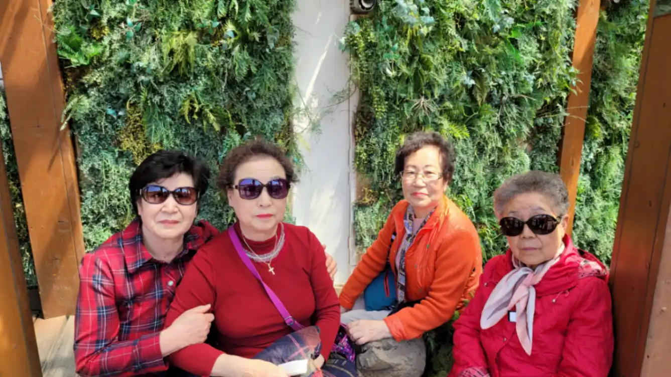 경주 봄꽃놀이 사진 1번째