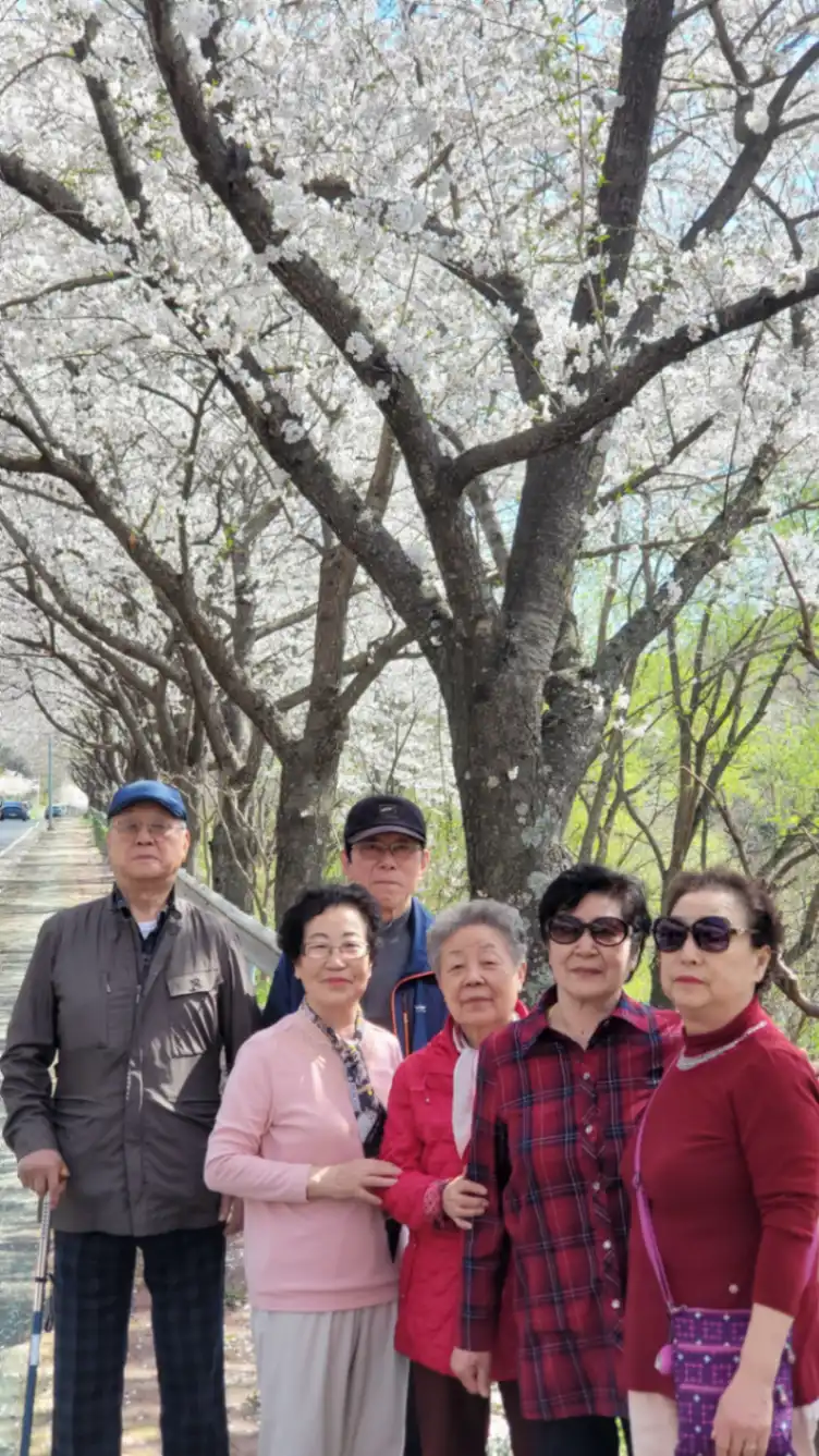 경주 봄꽃놀이 사진 7번째