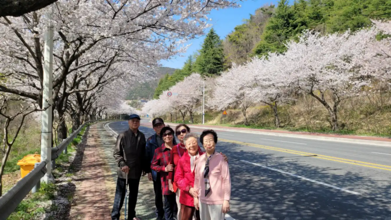 경주 봄꽃놀이 사진 8번째