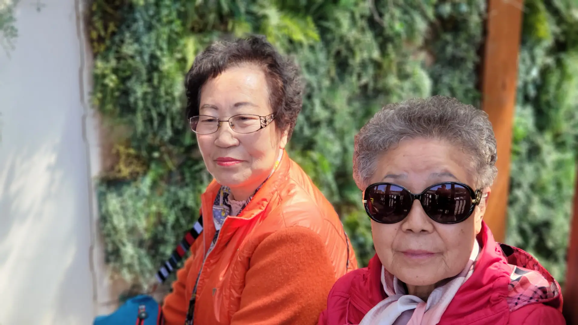 경주 봄꽃놀이 사진 2번째