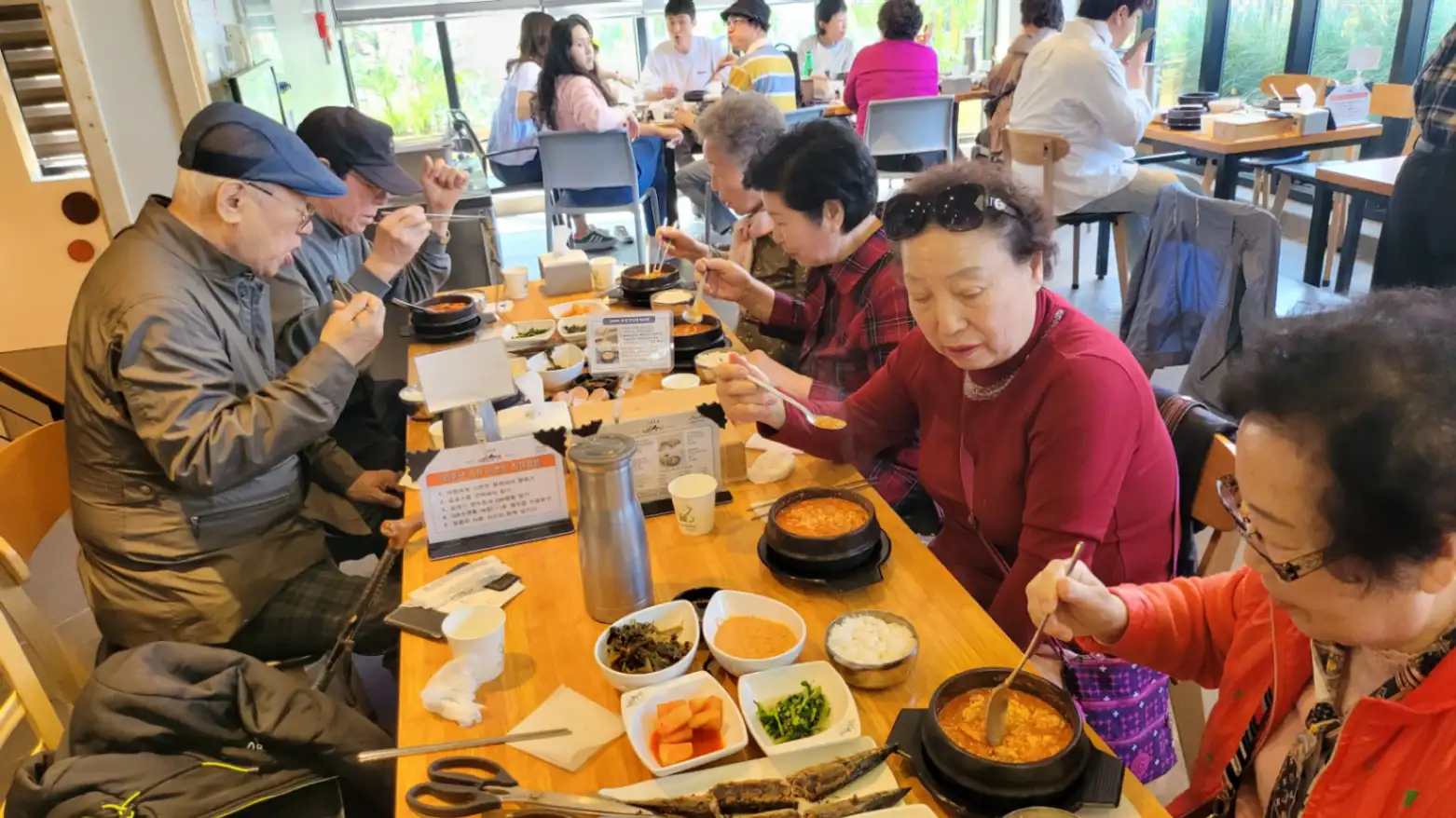 경주 봄꽃놀이 사진 5번째