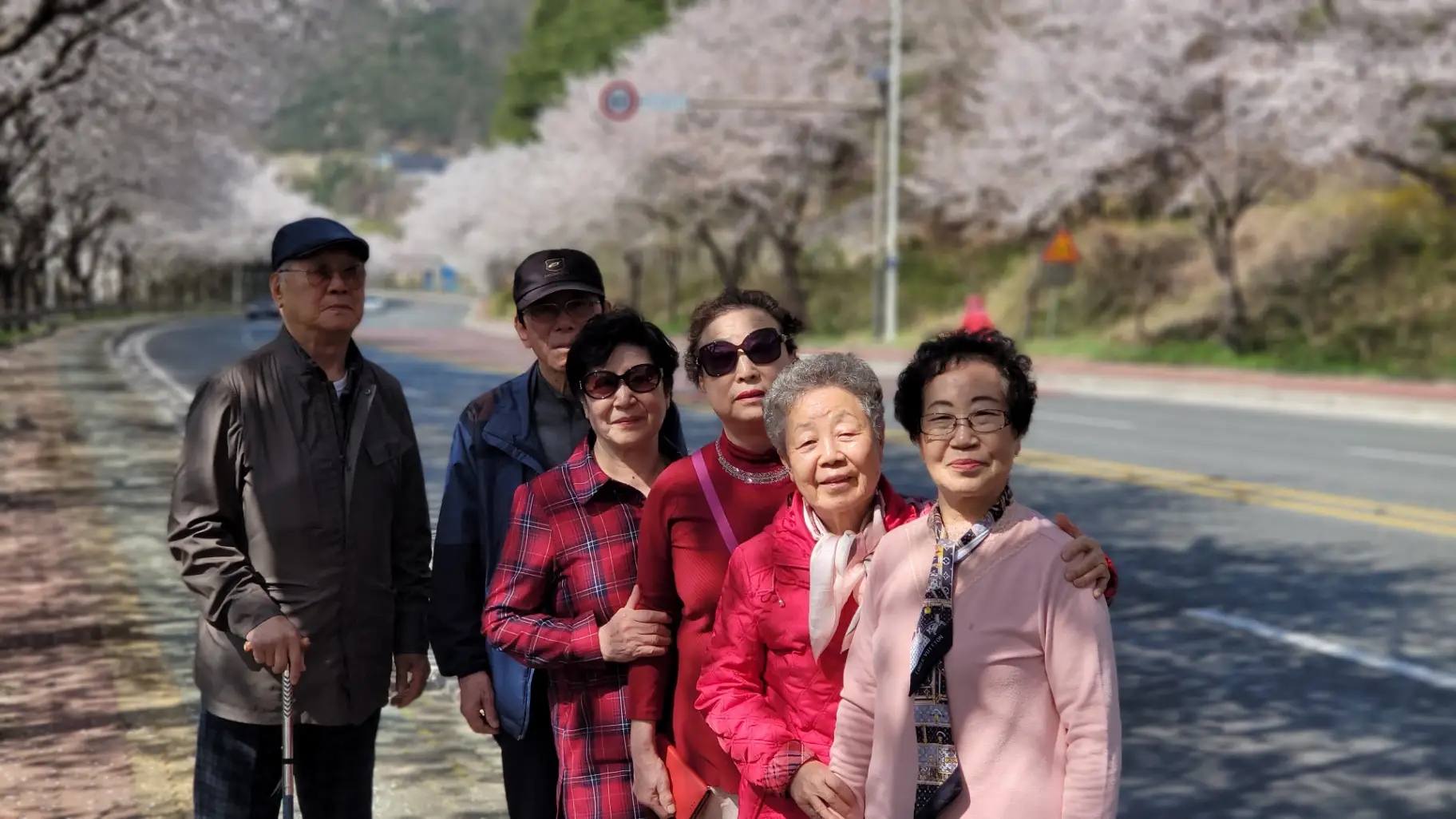 경주 봄꽃놀이 사진 9번째