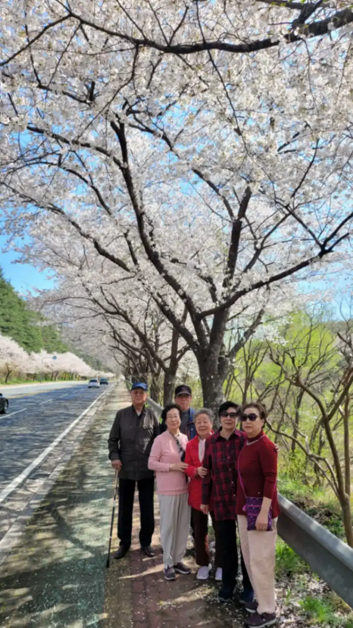 경주 봄꽃놀이 사진 6번째