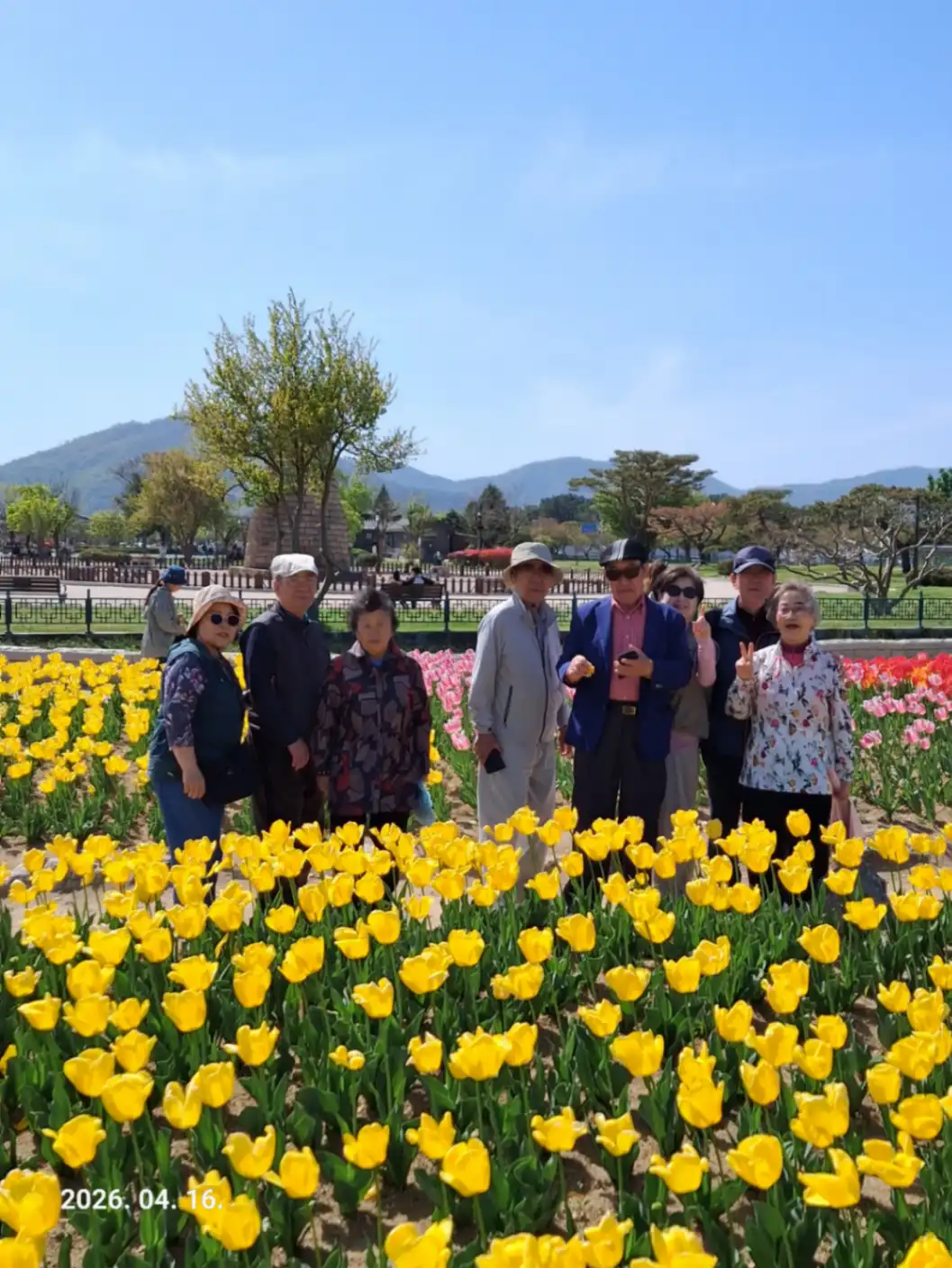 7080 경주 봄놀이 갤러리 썸네일