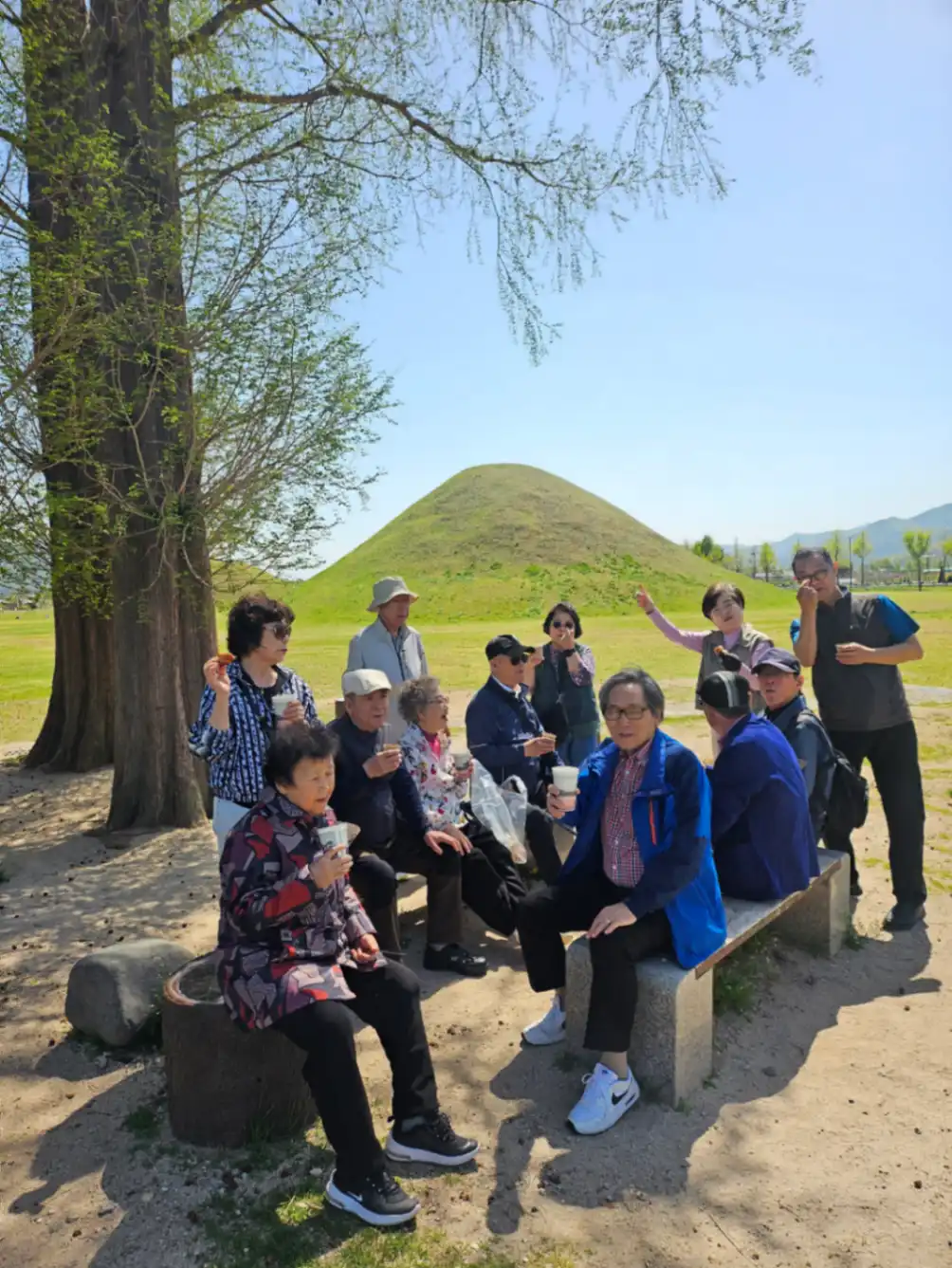 7080 경주 봄놀이 사진 10번째